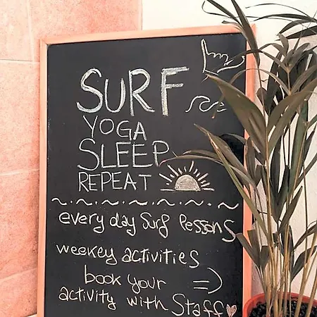 International Surf Camp Only Surf